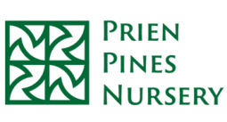 Prien Pines Nursery